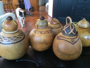 many gourds, one dog